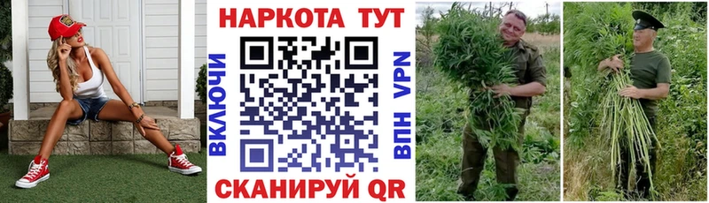 Виды наркотиков купить Луга Cocaine МАРИХУАНА СОЛЬ ГАШ Меф мяу мяу