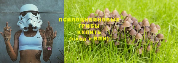 героин Алексин