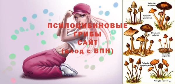 героин Алексин