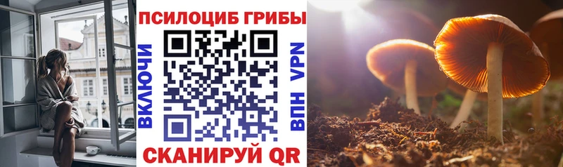 Псилоцибиновые грибы прущие грибы  цена   Луга 
