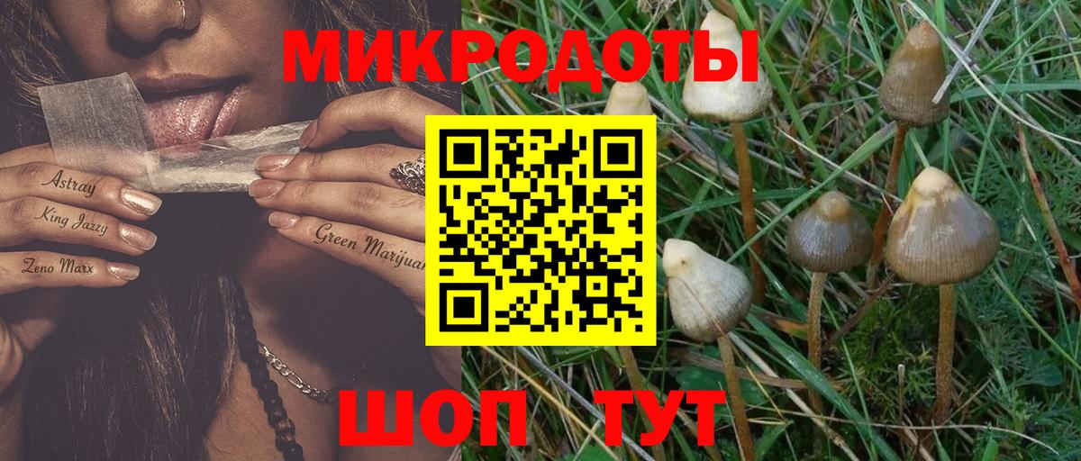 цены наркотик  Галлюциногенные грибы Psilocybe  Вход с VPN  Галлюциногенные грибы мицелий  Луга 