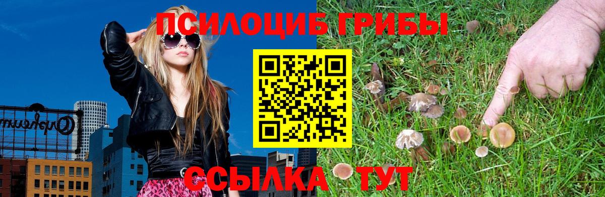 Псилоцибиновые грибы Magic Shrooms Луга