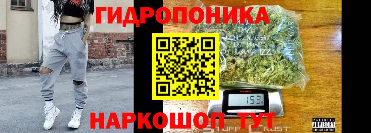 Шишки марихуана конопля  Бошки марихуана индика  Луга  Вход с VPN  Марихуана THC 21% 